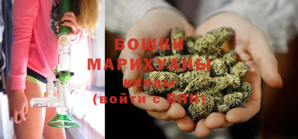 прущие грибы Козловка