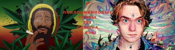 трава Кодинск