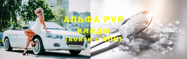 прущие грибы Козловка