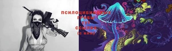 трава Кодинск