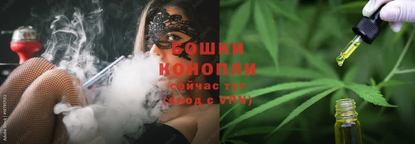 прущие грибы Козловка