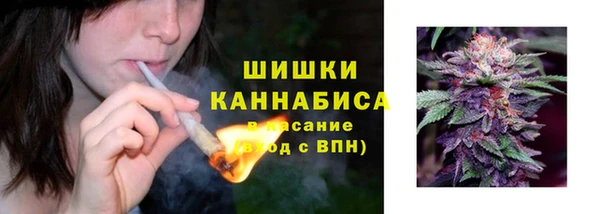 прущие грибы Козловка