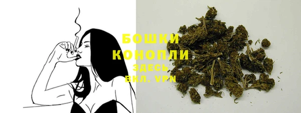 прущие грибы Козловка