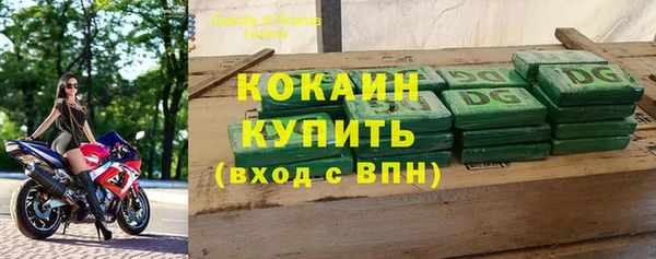 прущие грибы Козловка