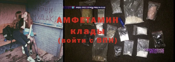 прущие грибы Козловка