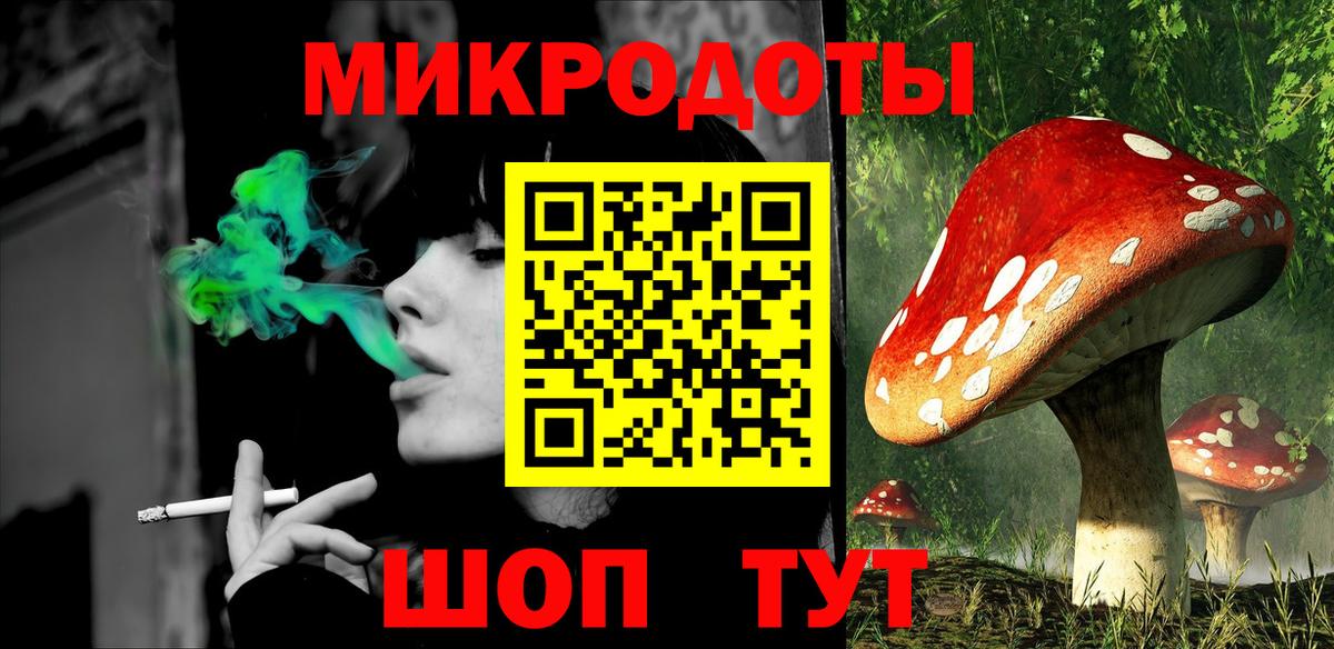 Псилоцибиновые грибы Psilocybe  Вход с VPN  Невинномысск 