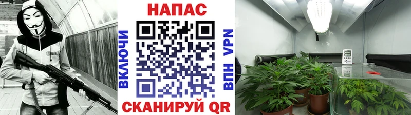 Канабис Amnesia  купить наркоту  Невинномысск 